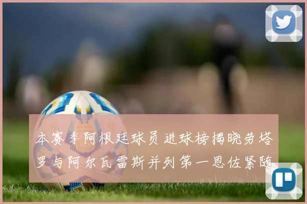 本赛季阿根廷球员进球榜揭晓劳塔罗与阿尔瓦雷斯并列第一恩佐紧随其后
