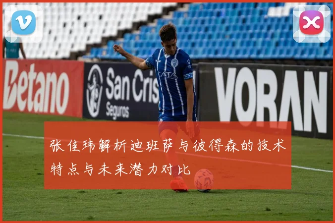 张佳玮解析迪班萨与彼得森的技术特点与未来潜力对比